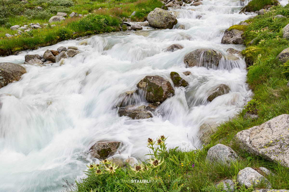 Dammareuss im Göschenertal im Kanton Uri, klarer Gebirgsbach zwischen Felsen und alpiner Vegetation.