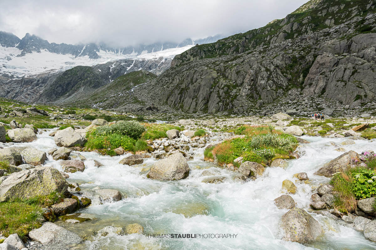 Dammareuss im Göschenertal im Kanton Uri, klarer Gebirgsbach zwischen Felsen und alpiner Vegetation mit Blick Richtung Dammagletscher.