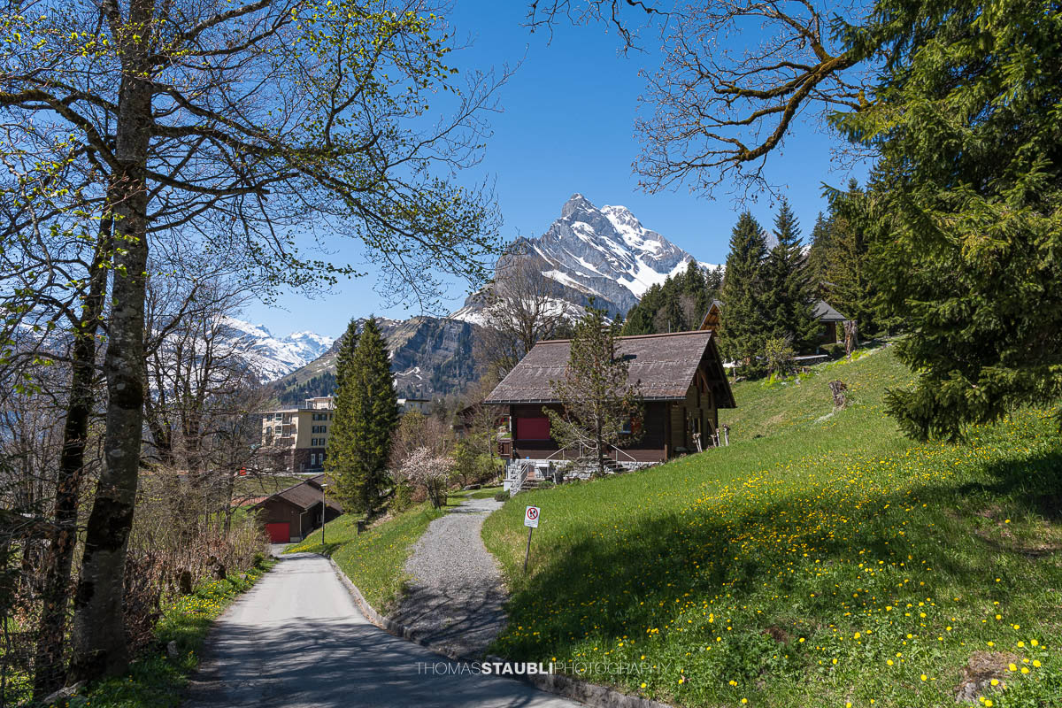 Braunwald mit Ortstock im Hintergrund