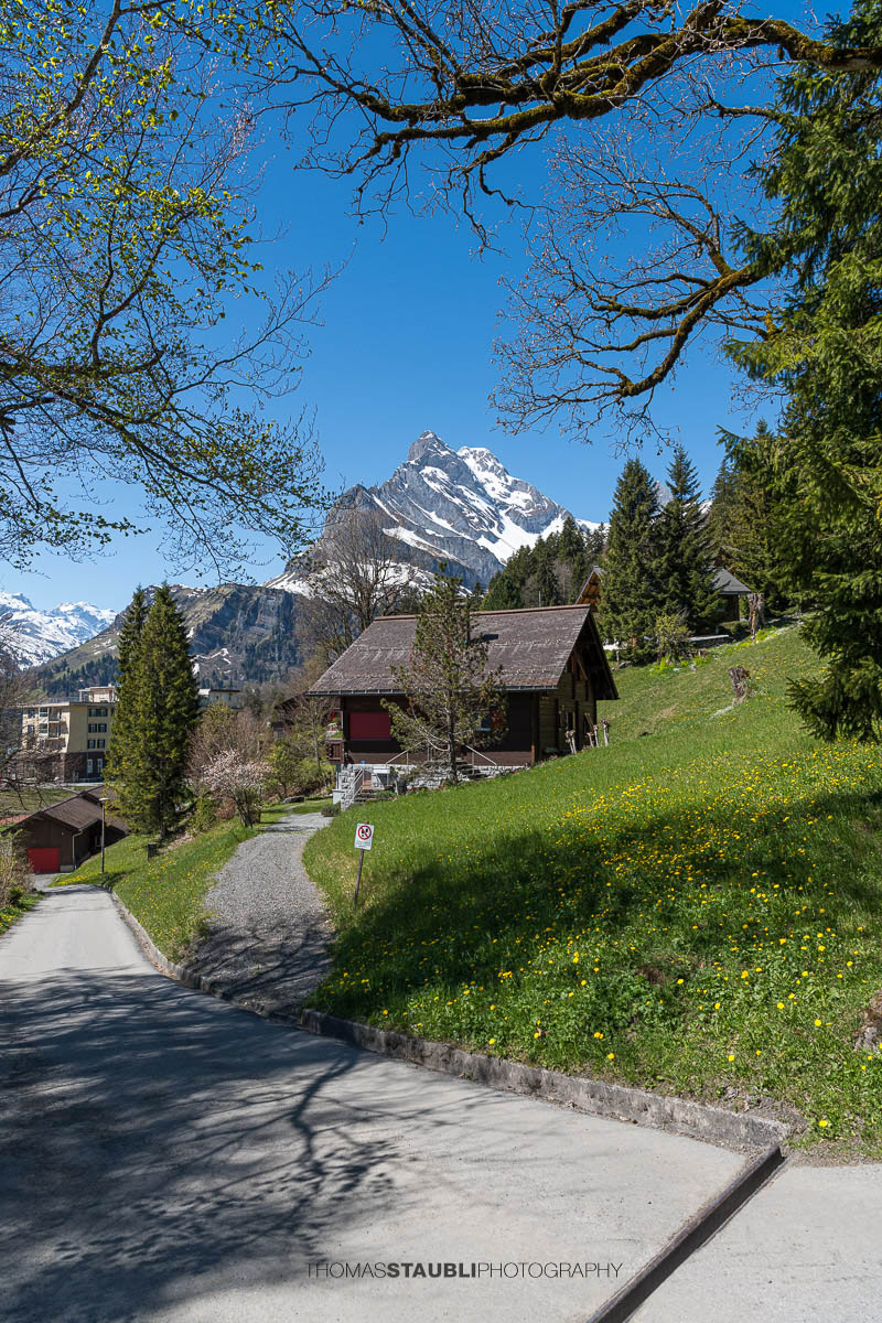 Braunwald mit Ortstock im Hintergrund