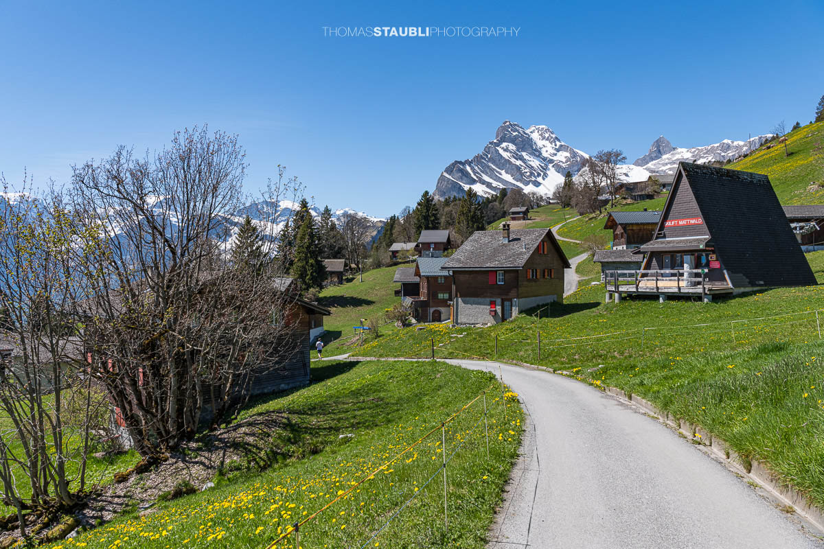 Frühling in Braunwald