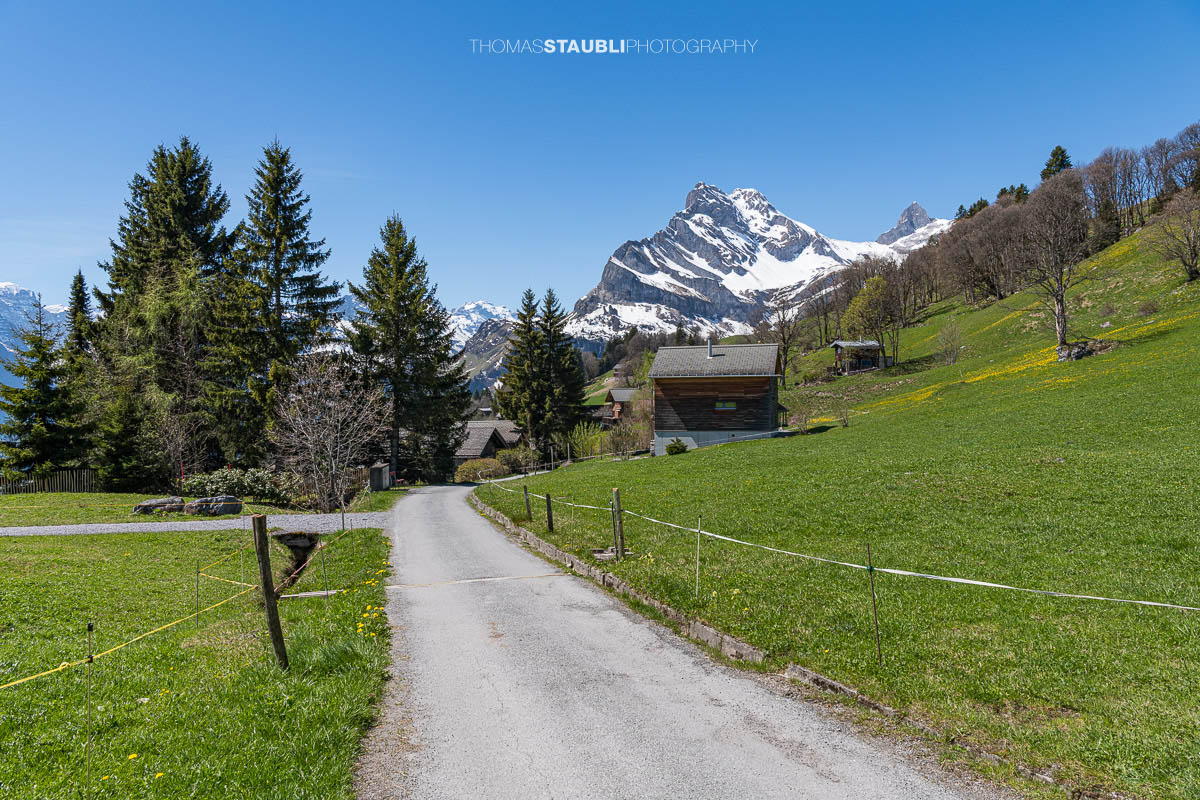 Frühling in Braunwald