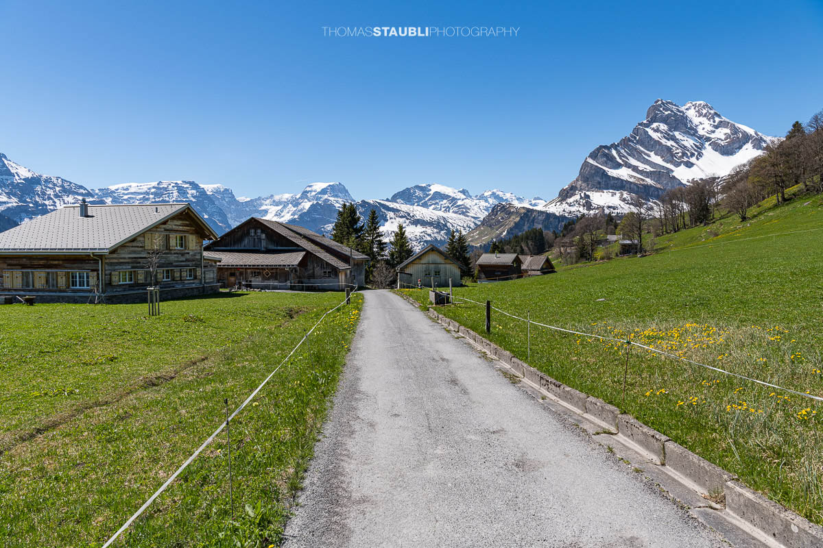 Frühling in Braunwald