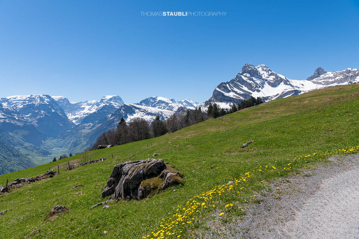 Frühling in Braunwald