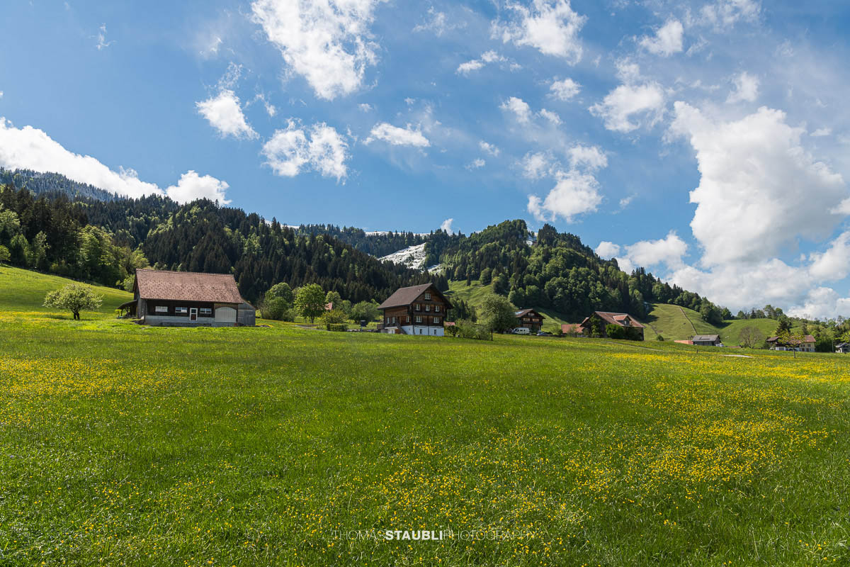 Bauernhäuser bei Steinau am Sihlsee