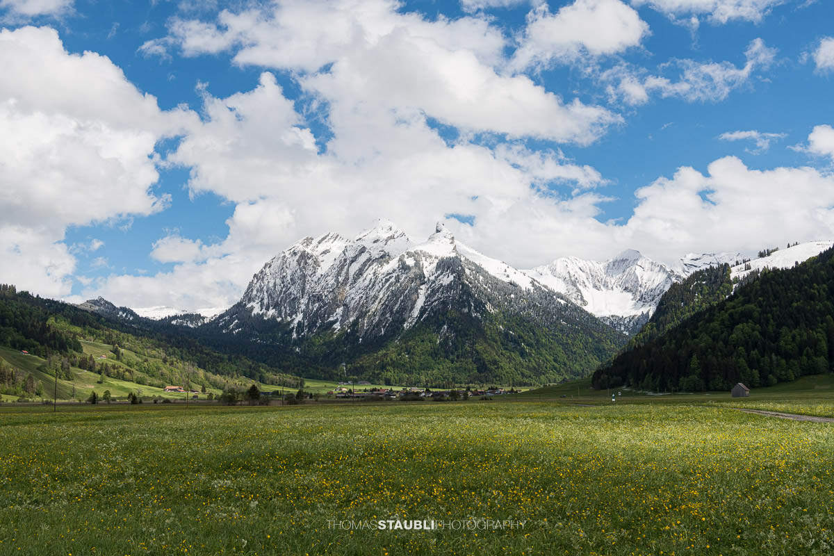 Blick zum verschneiten Diethelm
