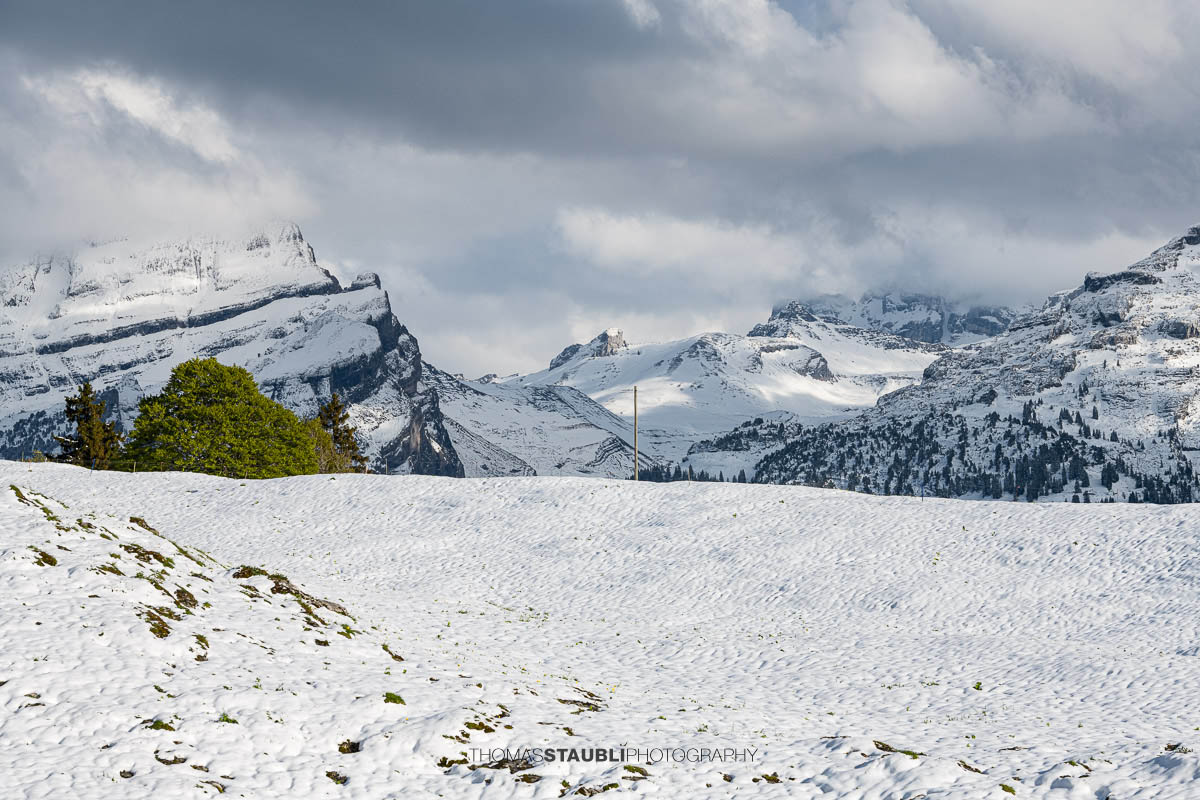 Blick zu den verschneiten Schächentaler Windgällen