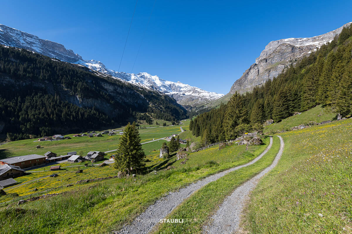 Schmaler Weg zwischen blühenden Wiesen und traditionellen Alphütten auf dem Urnerboden im Kanton Uri, im Hintergrund die verschneiten Gipfel der Glarner Alpen.