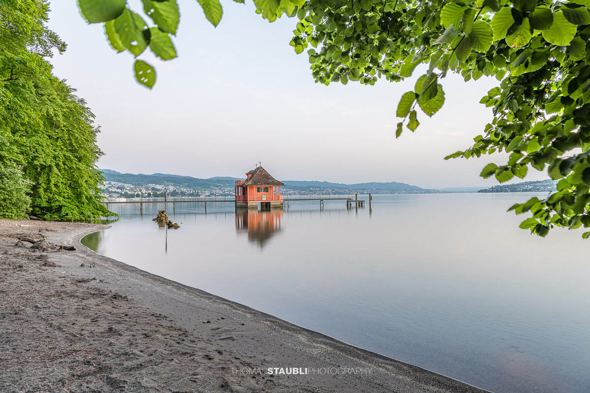 Historisches Badehaus auf der Halbinsel Au am Zürichsee, eingerahmt von überhängenden Baumästen und spiegelglattem Wasser bei ruhiger Morgenstimmung.