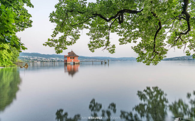 Historisches Badehaus auf der Halbinsel Au am Zürichsee, eingerahmt von überhängenden Baumästen und spiegelglattem Wasser bei ruhiger Morgenstimmung.