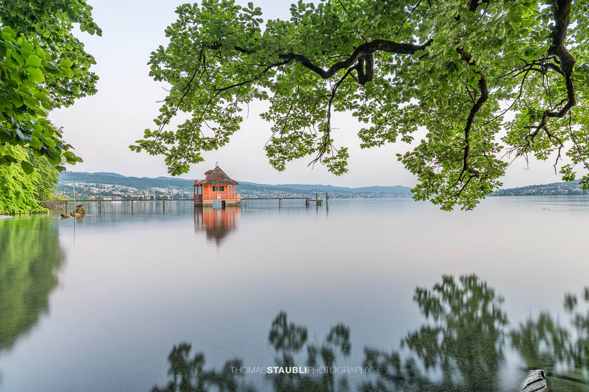 Historisches Badehaus auf der Halbinsel Au am Zürichsee, eingerahmt von überhängenden Baumästen und spiegelglattem Wasser bei ruhiger Morgenstimmung.
