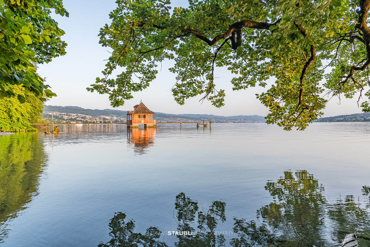 Historisches Badehaus auf der Halbinsel Au am Zürichsee, eingerahmt von überhängenden Baumästen und spiegelglattem Wasser bei ruhiger Morgenstimmung.