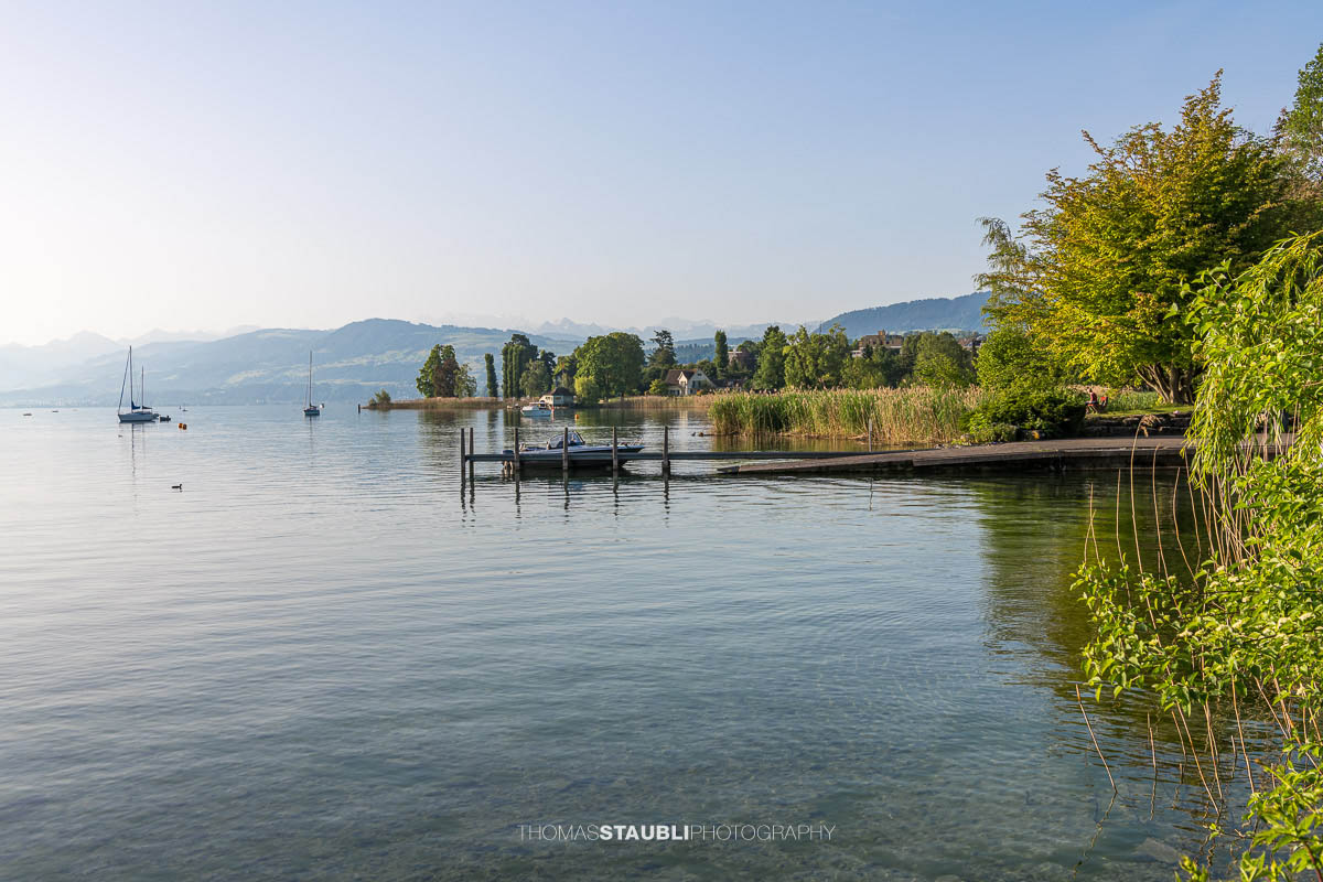 am Ufer des Zürichsees