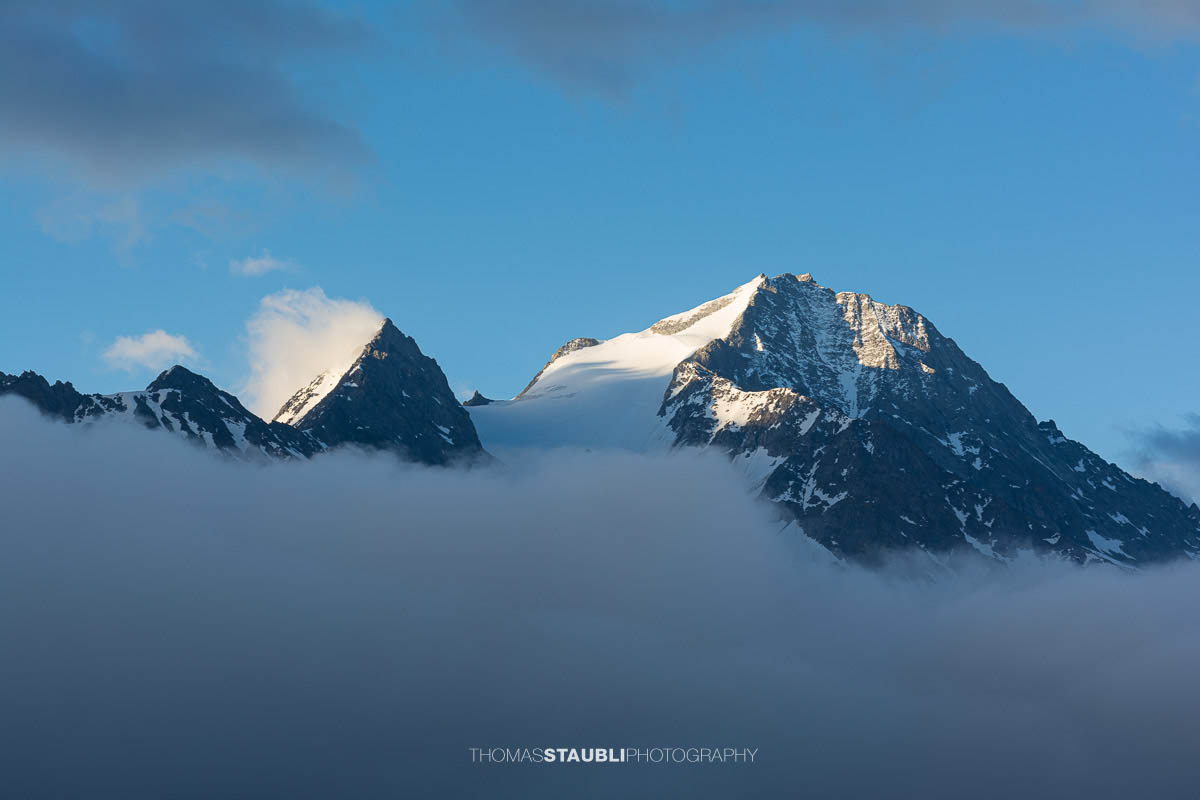 Der Oberalpstock erhebt sich über einem Nebelmeer, während die ersten Sonnenstrahlen den vergletscherten Gipfel der Urner Alpen beleuchten.