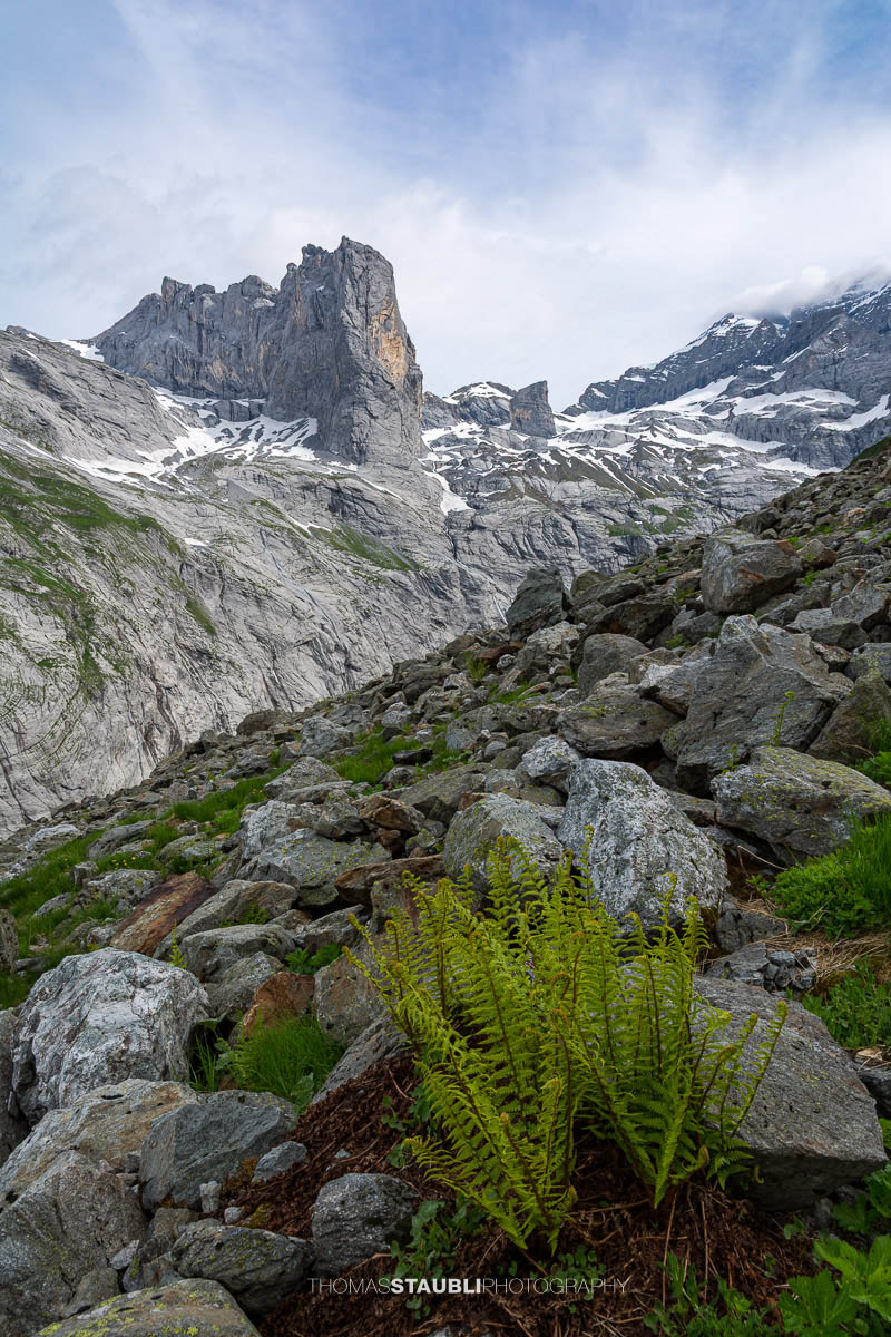Blick zum Chalch Schijen im Maderanertal mit Felsblöcken, Farnen und schroffen Kalkwänden der Urner Alpen.