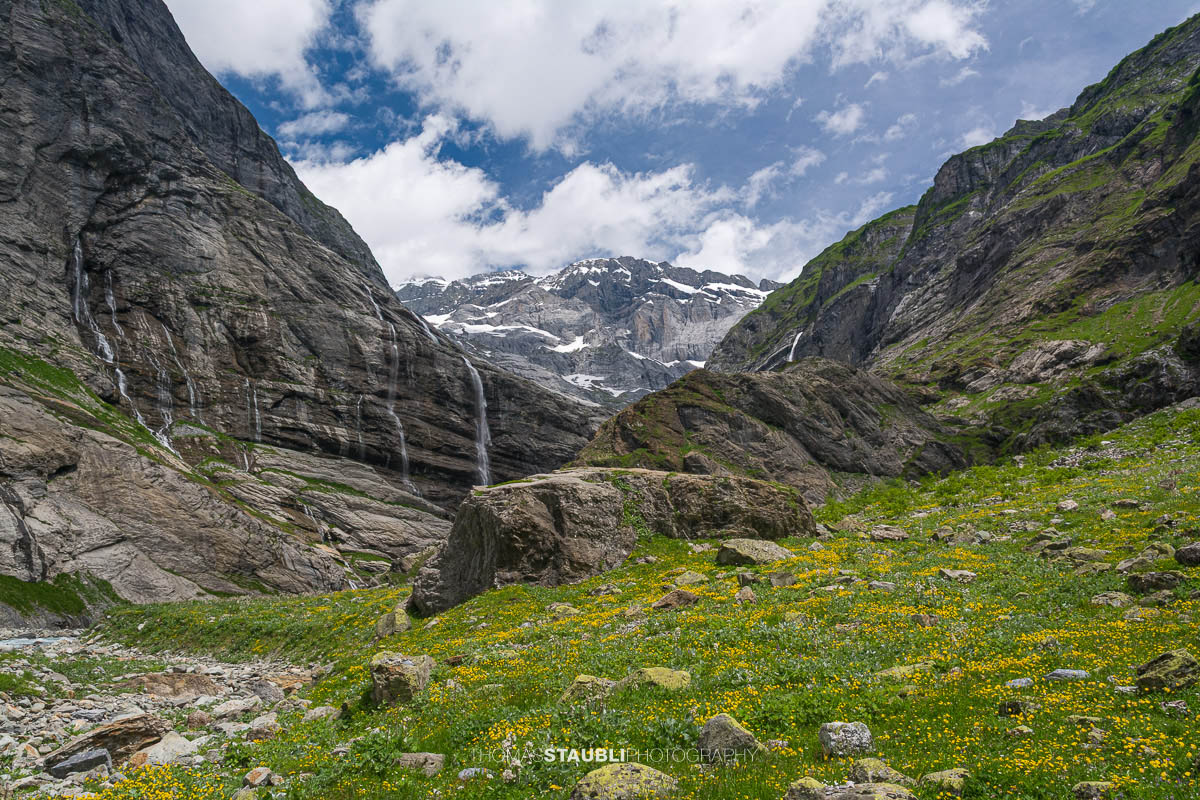 blühende Wiesen auf dem Griessboden im Maderanertal