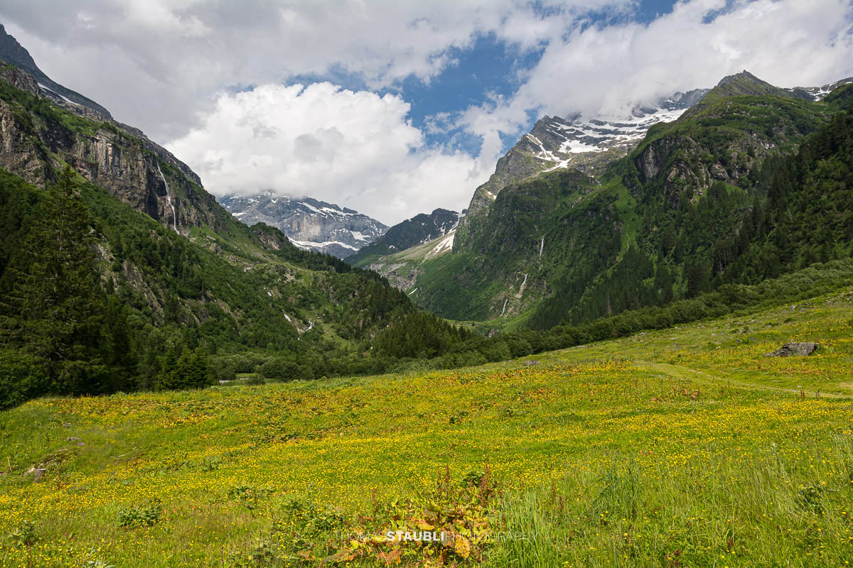 Blühende Bergwiesen im hinteren Maderanertal mit bewaldeten Berghängen, Wasserfällen und Gipfeln der Urner Alpen.