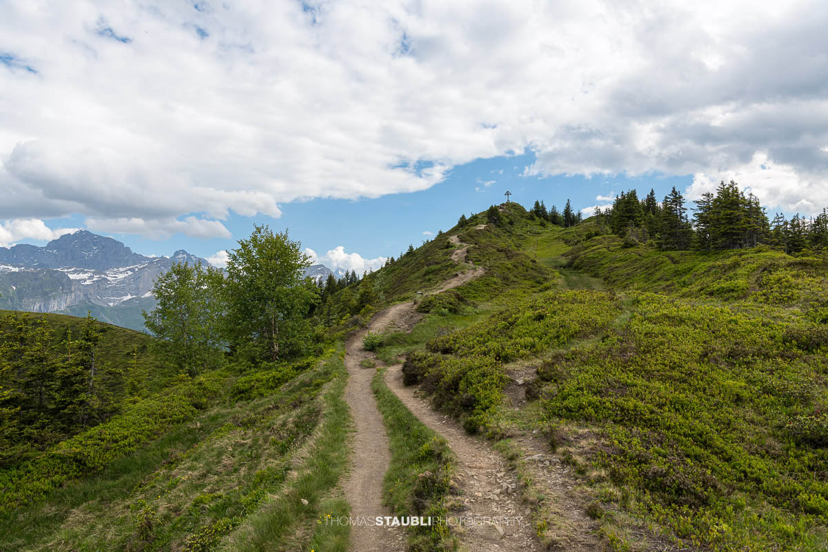 Wanderweg zum Gipfelkreuz der Hüenderegg