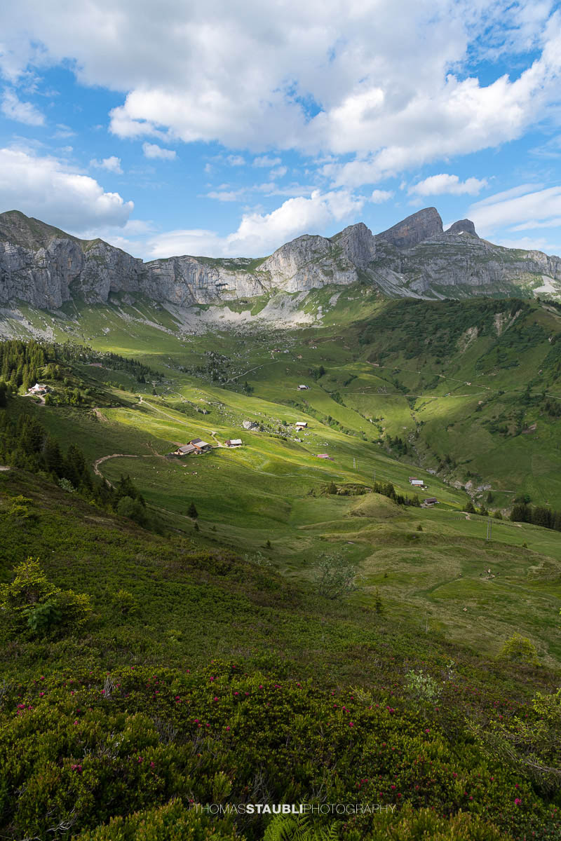 Aussicht von der Hüenderegg auf grüne Alpweiden und die Berglandschaft im Schächental.