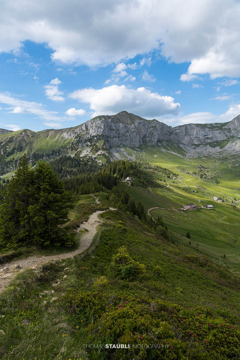 Wanderweg auf der Hüenderegg mit Blick über die Alplandschaft des Schächentals und die Gipfel der Urner Alpen.