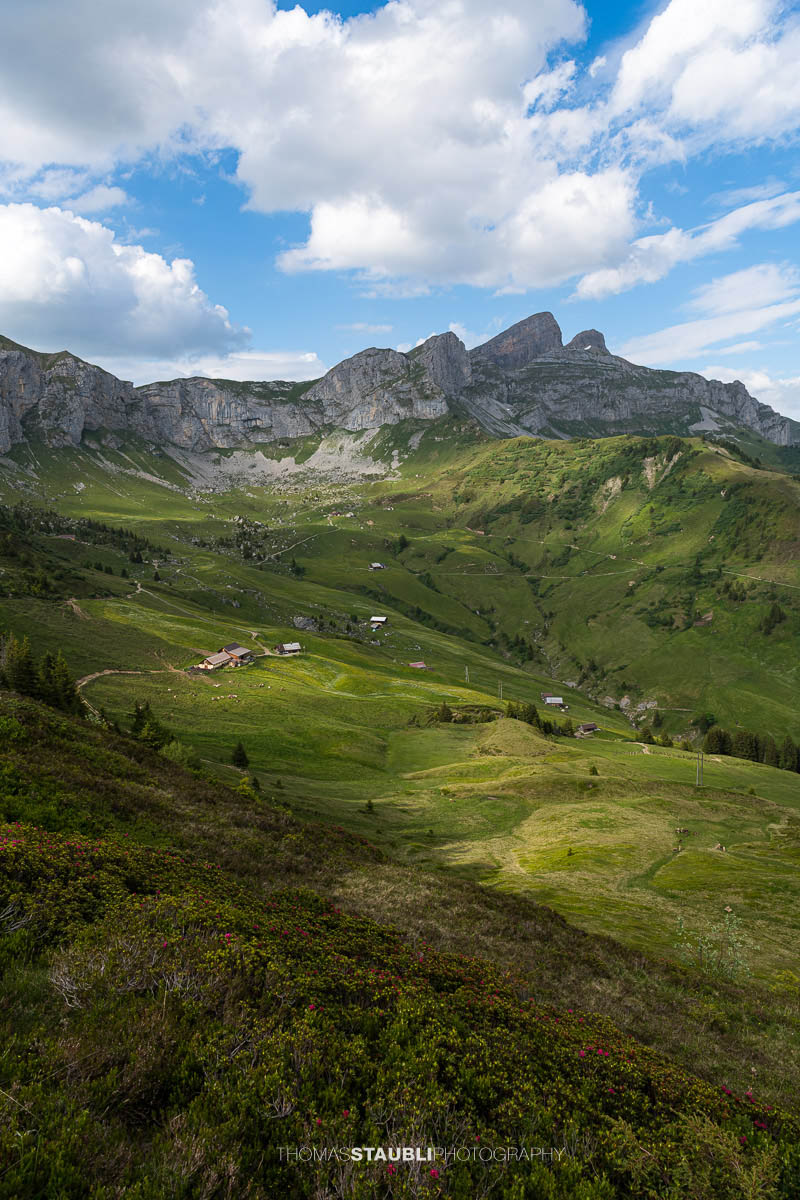 Aussicht von der Hüenderegg auf grüne Alpweiden und die Berglandschaft im Schächental.