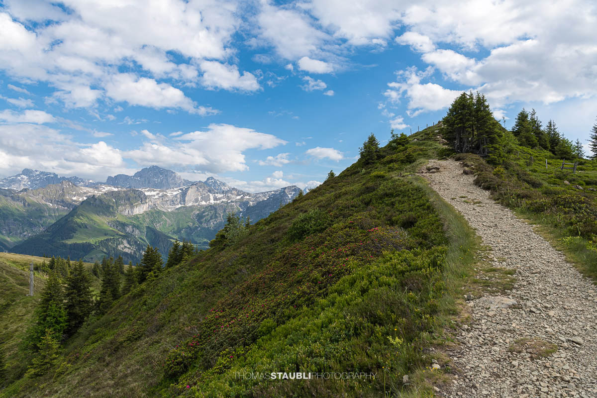 Wanderweg zum Gipfelkreuz der Hüenderegg