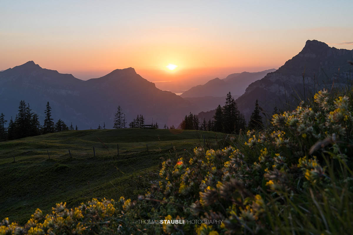 Aussicht von der Hüenderegg auf Sonnenuntergang zwischen Niderbauen-Chulm und Rophaien