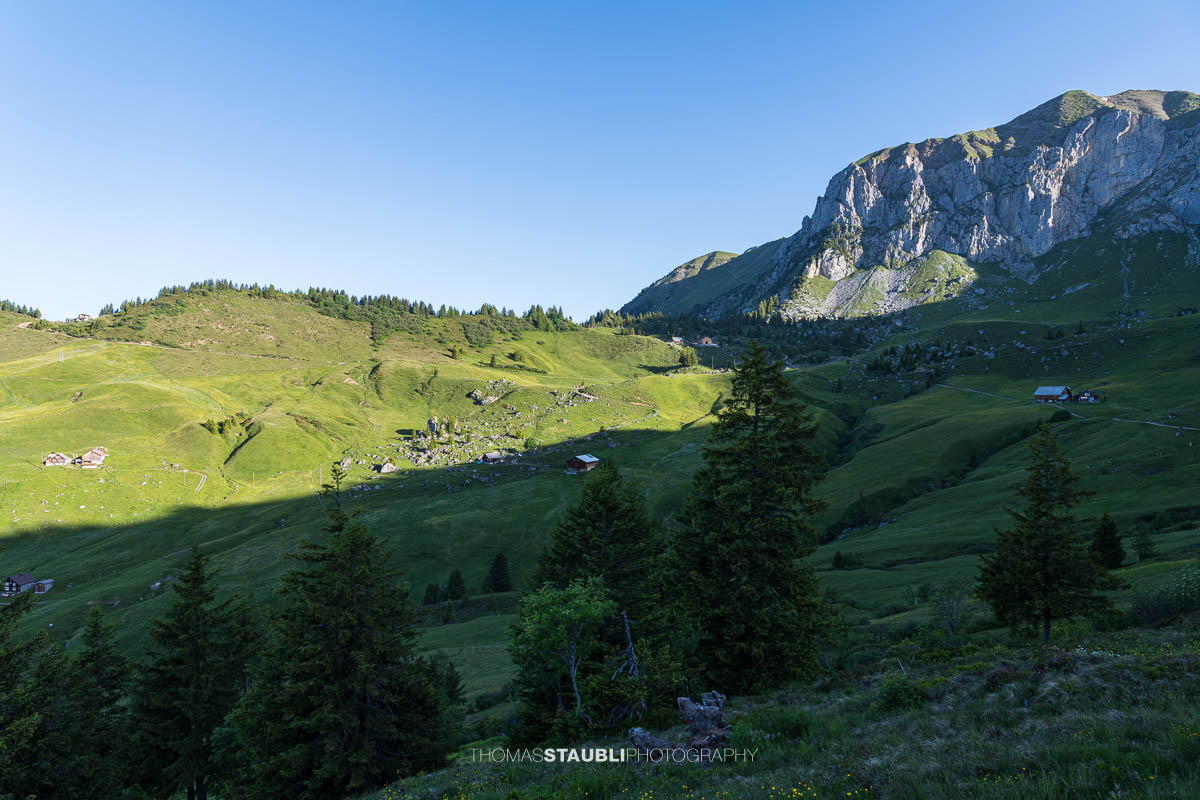 Alpweiden bei Ruogig