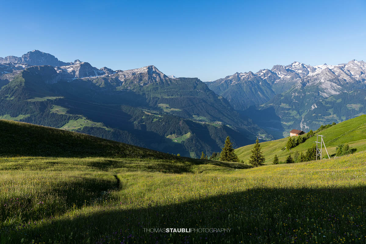 blühende Alpwiesen bei Ruogig mit Blick zu den Urner Alpen