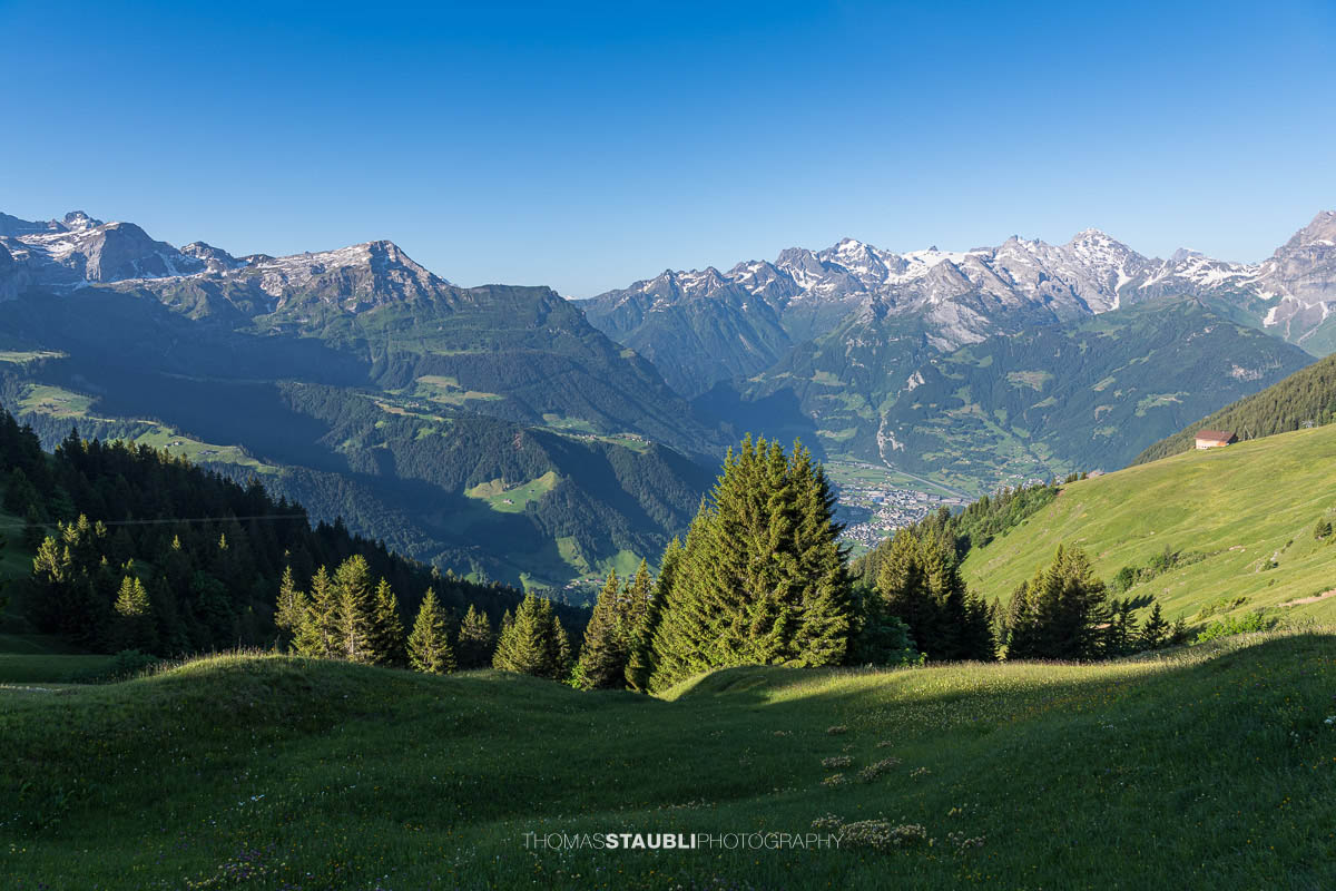 blühende Alpwiesen bei Ruogig mit Blick zu den Urner Alpen