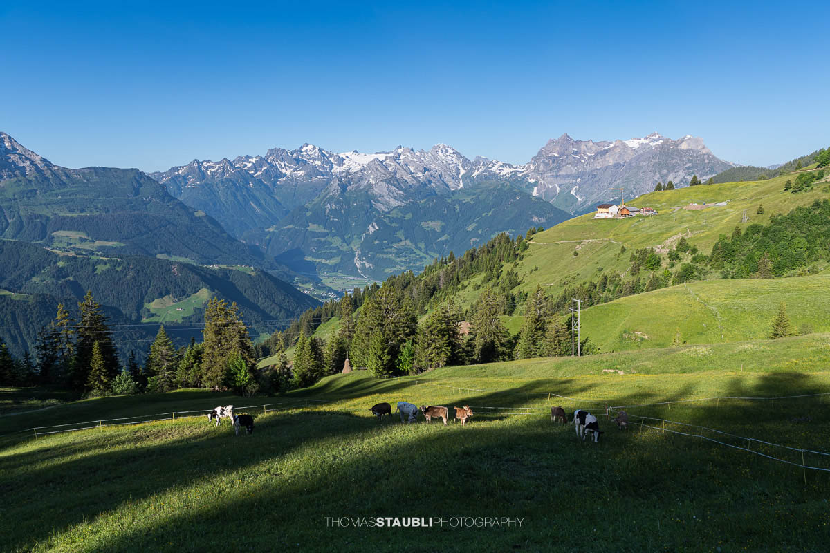 Aussicht vom Mättental zu den Urner Alpen