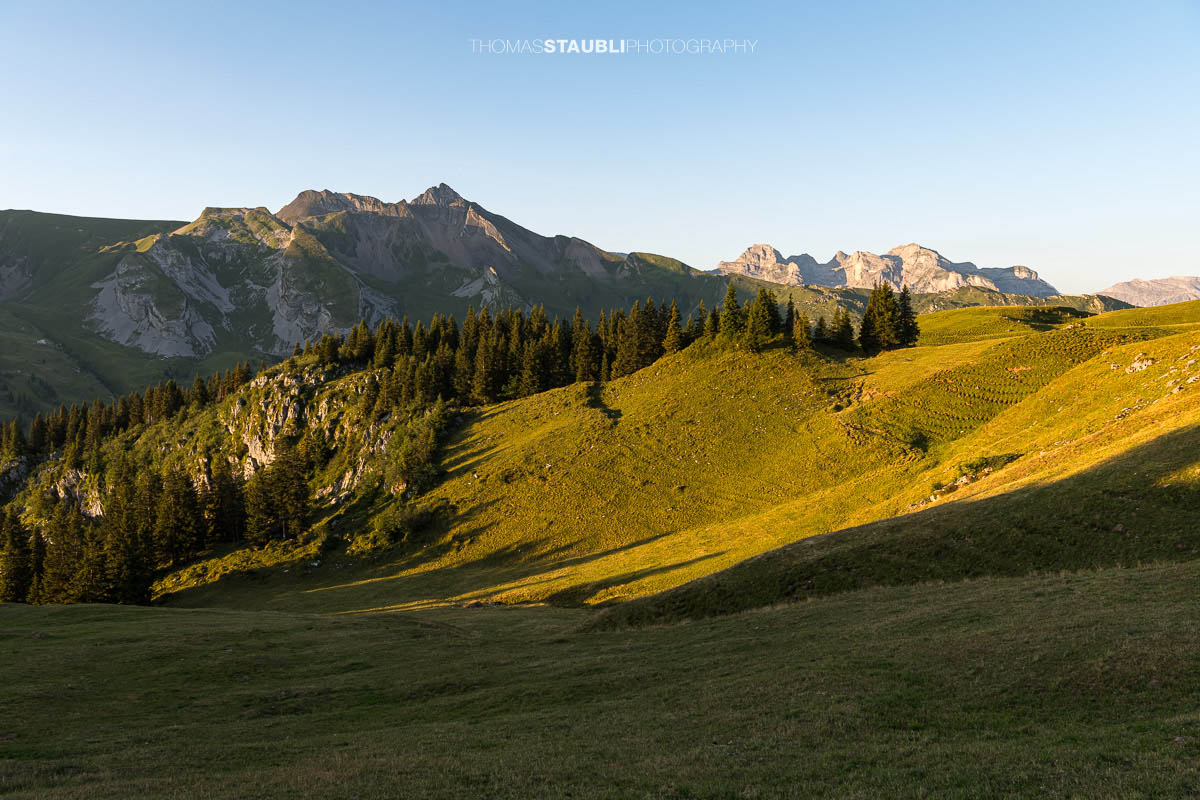 Erste Sonnenstrahlen auf der Musenalp, dahinter erhebt sich der markante Brisen.