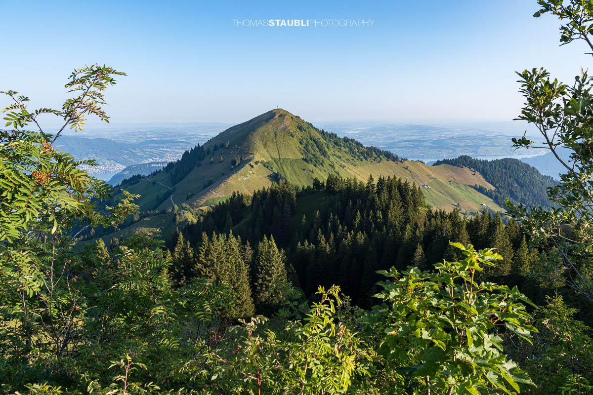Aussicht vom Musenalper Grat auf das Buochserhorn mit grünen Alpweiden und der Zentralschweizer Hügellandschaft.