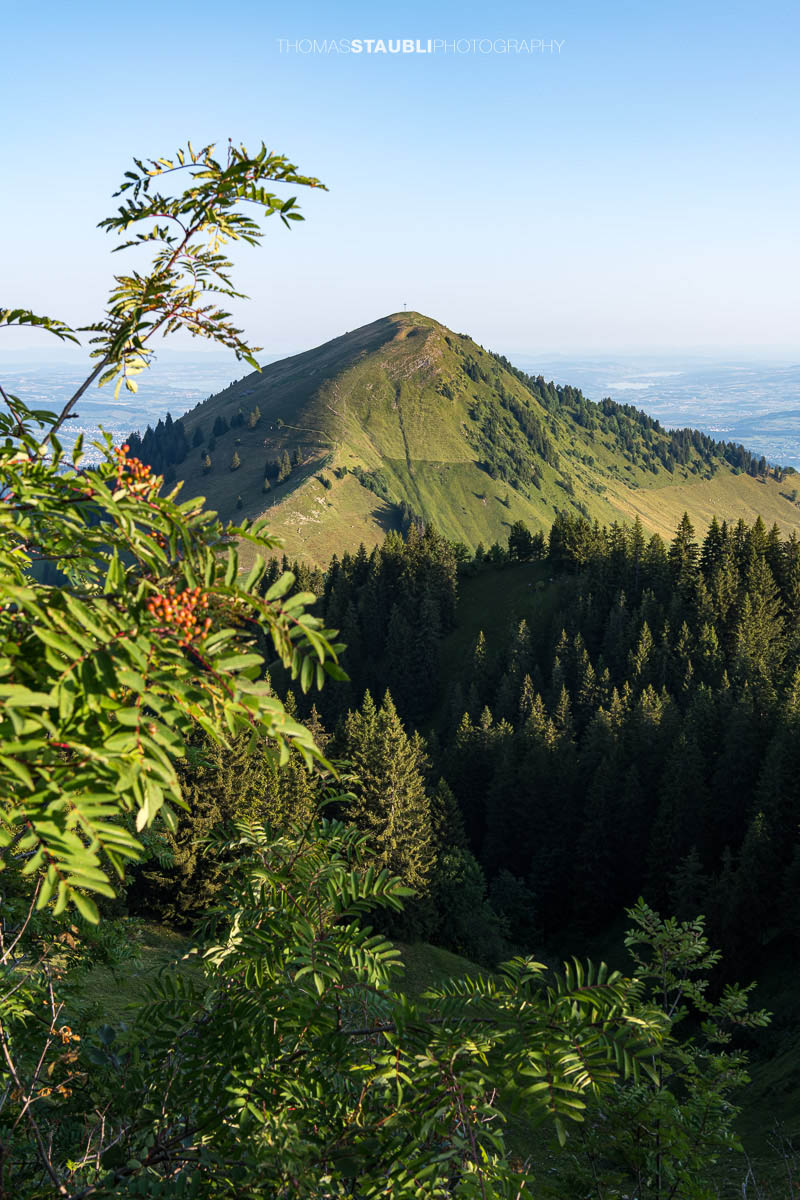 Aussicht vom Musenalper Grat auf das Buochserhorn mit grünen Alpweiden und der Zentralschweizer Hügellandschaft.