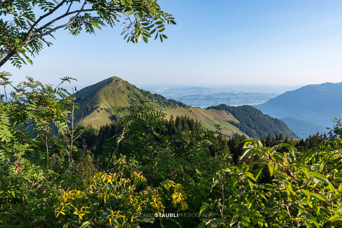 Aussicht vom Musenalper Grat auf das Buochserhorn mit grünen Alpweiden und der Zentralschweizer Hügellandschaft.