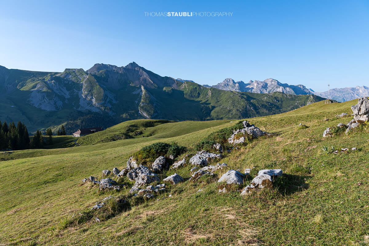Blick vom Musenalper Grat zum Alpbeizli Musenalp, dahinter erhebt sich der markante Brisen.