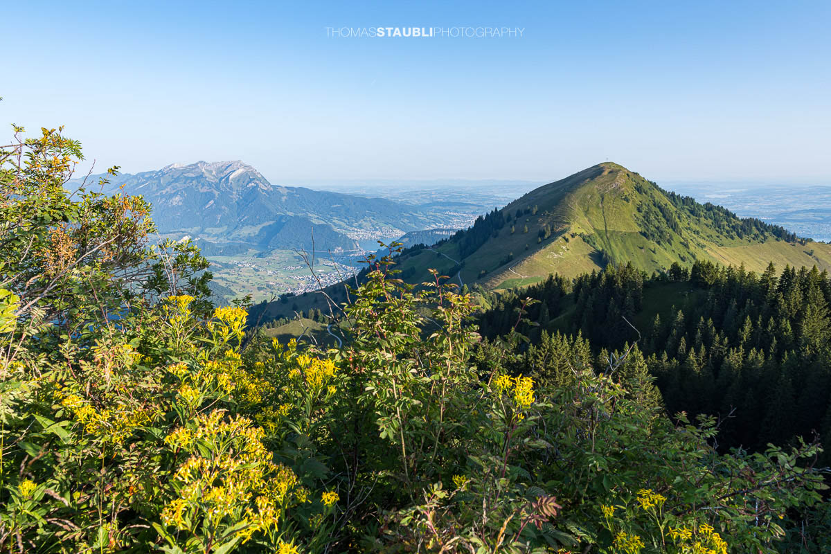 Aussicht vom Musenalper Grat auf den Pilatus und das Buochserhorn mit grünen Alpweiden und der Zentralschweizer Hügellandschaft.