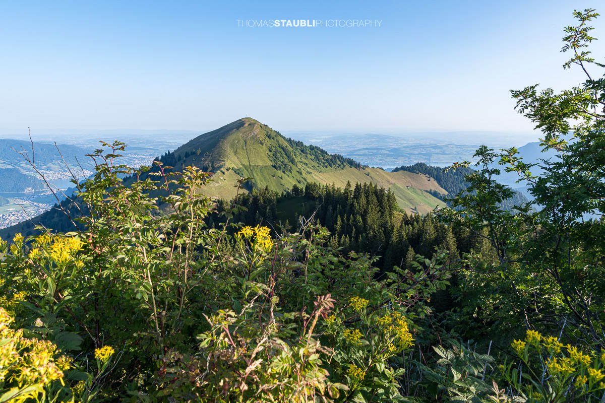 Aussicht vom Musenalper Grat auf das Buochserhorn mit grünen Alpweiden und der Zentralschweizer Hügellandschaft.