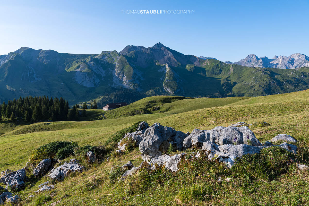 Blick vom Musenalper Grat zum Alpbeizli Musenalp, dahinter erhebt sich der markante Brisen.