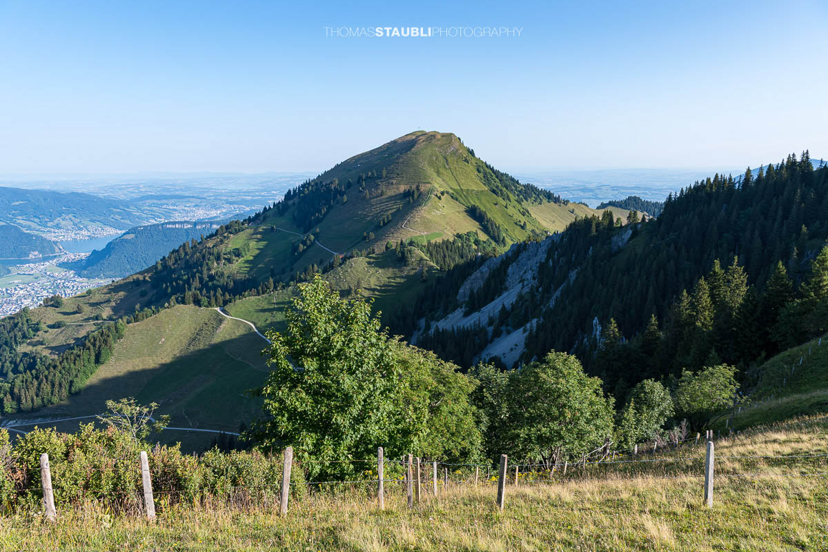 Aussicht vom Musenalper Grat auf das Buochserhorn mit grünen Alpweiden und der Zentralschweizer Hügellandschaft.