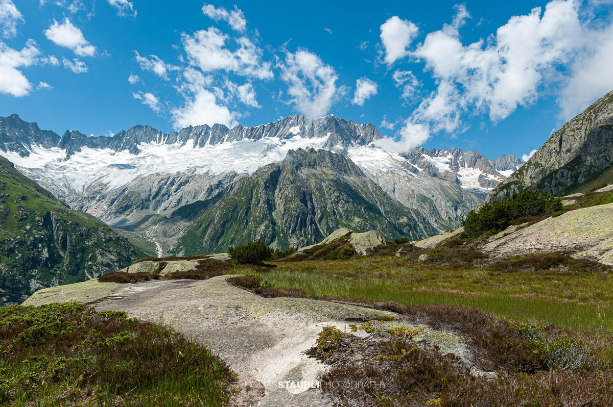 Blick von der Brätschenflue auf den Göscheneralpsee sowie den Dammagletscher im Hintergrund.