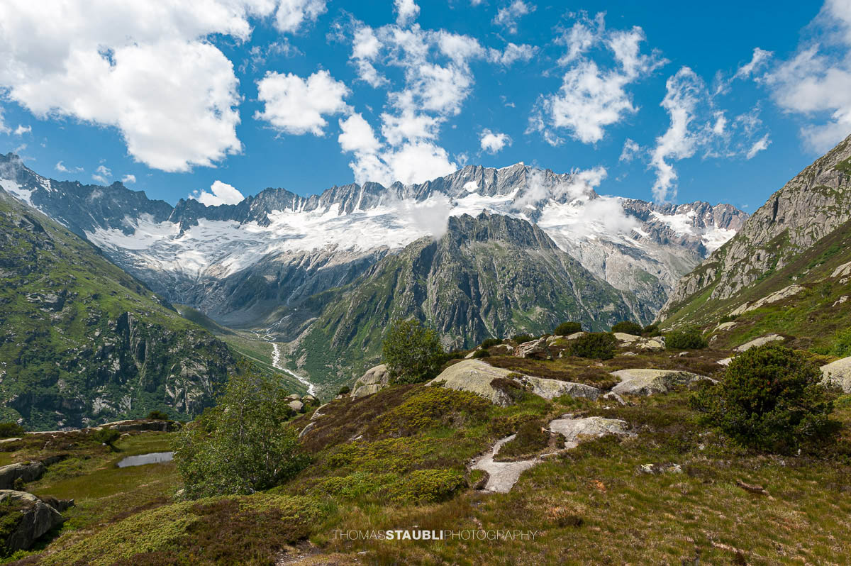 Blick zum Dammagletscher