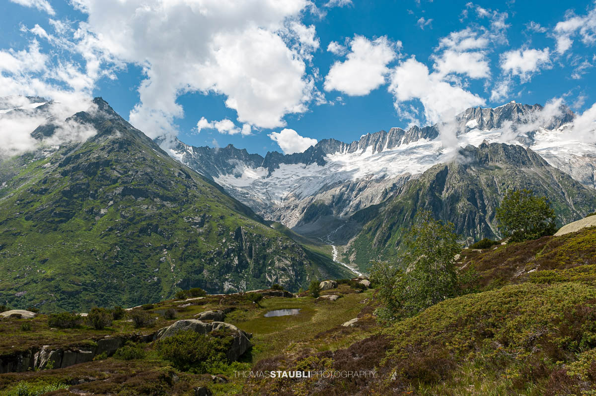 Blick zum Dammagletscher