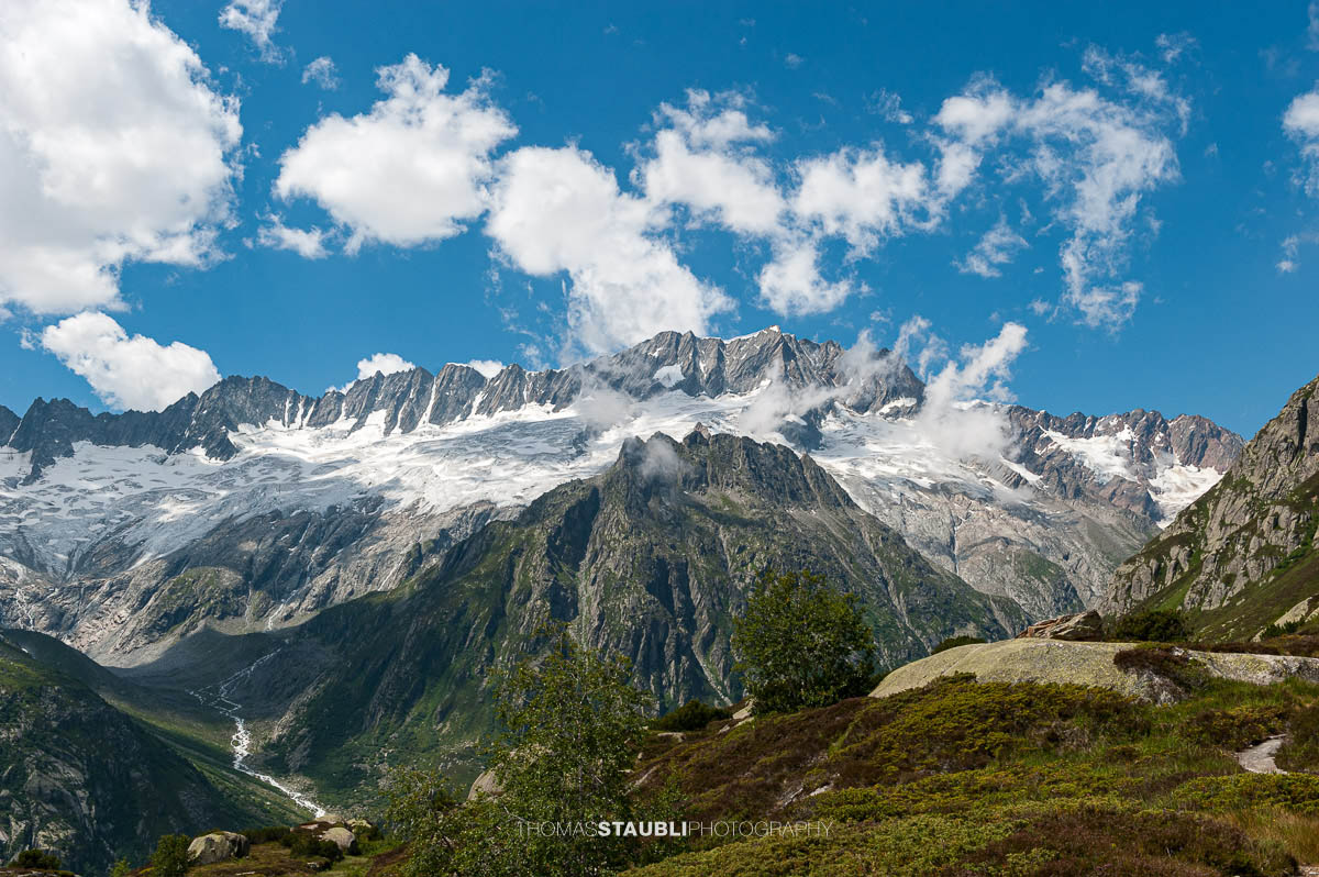 Blick zum Dammagletscher