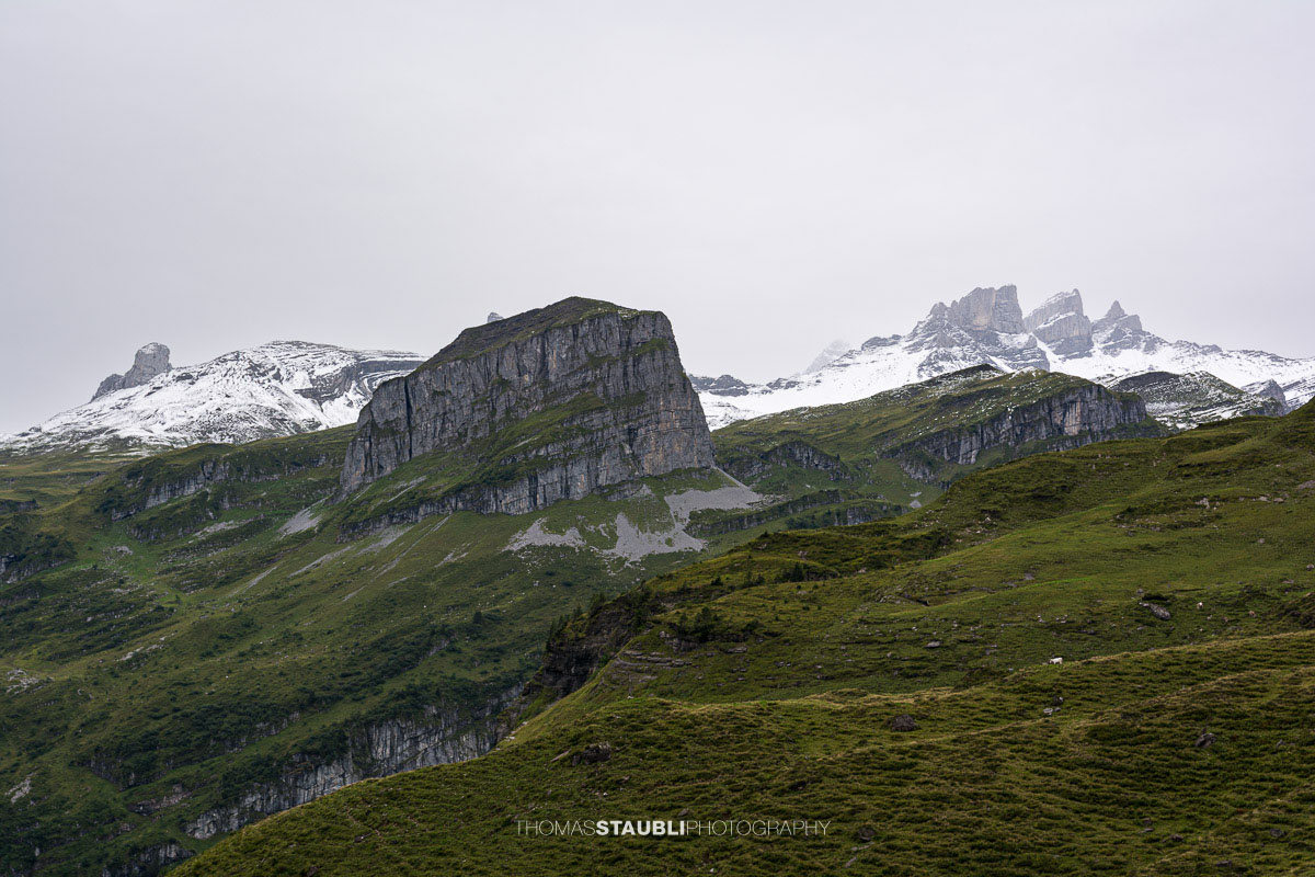Blick von der Seenalp zum Mattner Stock, Schwarz Stock und Alpler Torstock im Kanton Uri.
