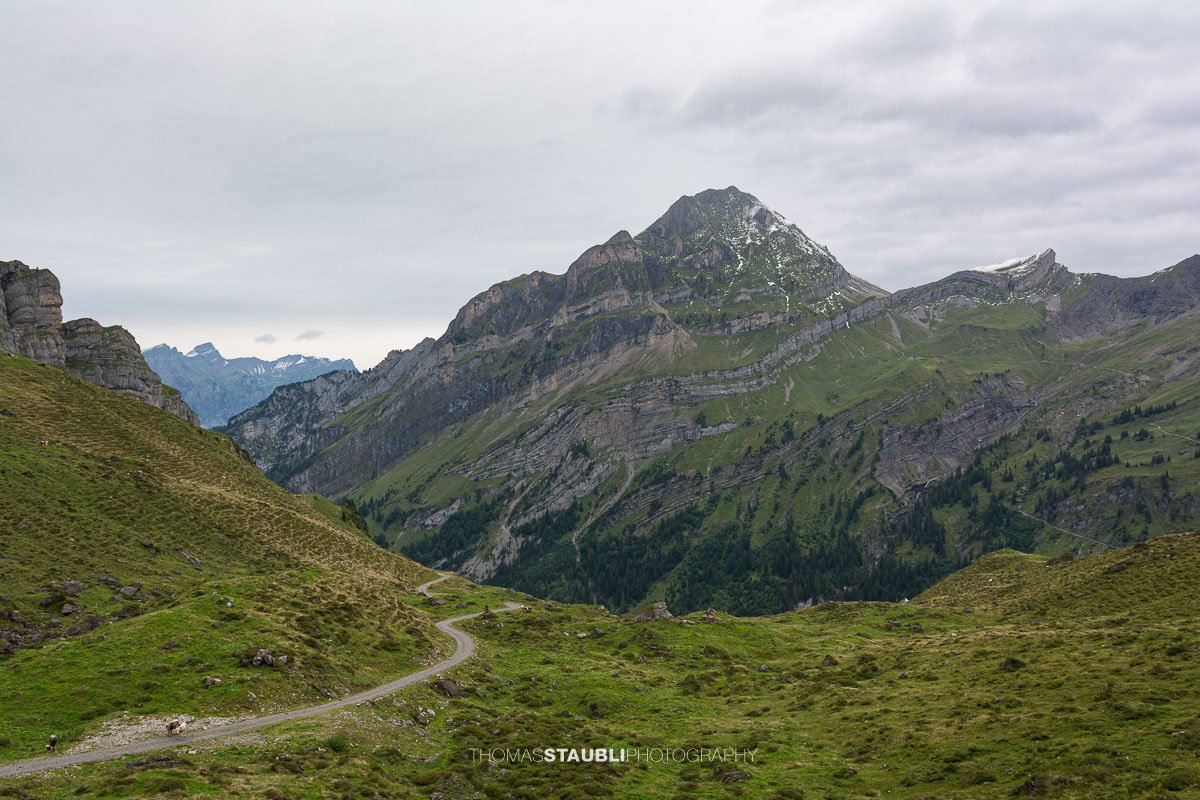 Blick von der Seenalp ins Hürital mit dem Wasserbergfirst im Hintergrund.