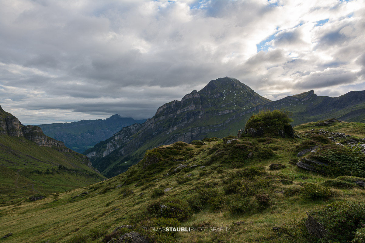 Blick von der Seenalp ins Hürital mit dem Wasserbergfirst im Hintergrund.