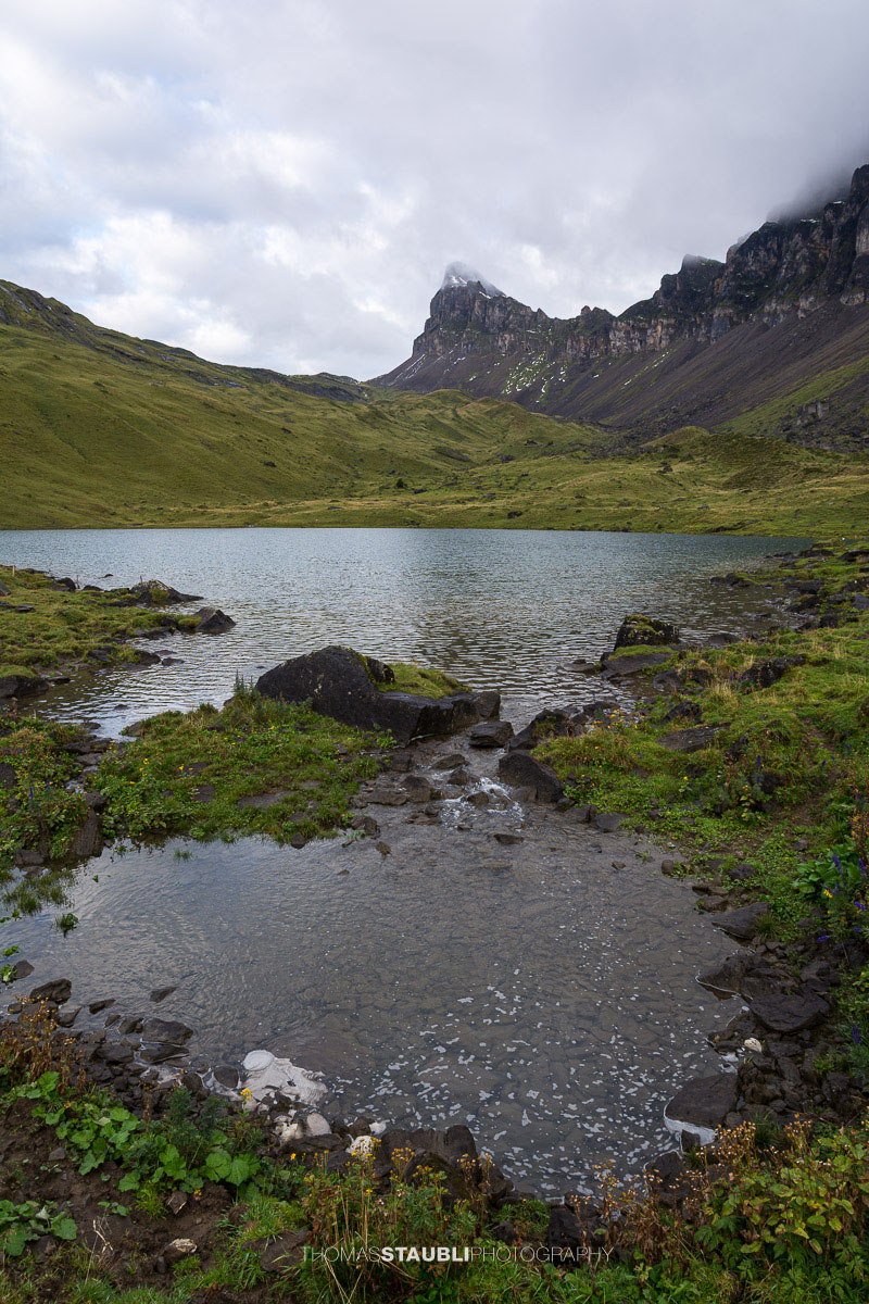 Seenalperseeli auf der Seenalp mit dem Fulen im Hintergrund.