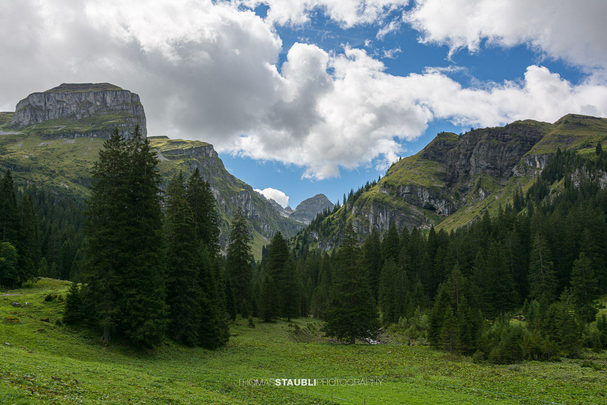 Blick vom Hürital zum Mattner Stock und Sirtenstock im Kanton Uri.