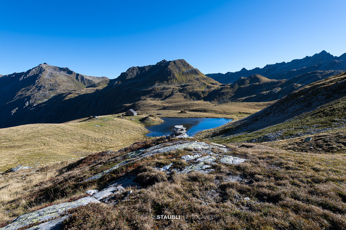 Wilde Matten mit Blick zum Piz Badus und dem Piz Purtgera im Hintergrund